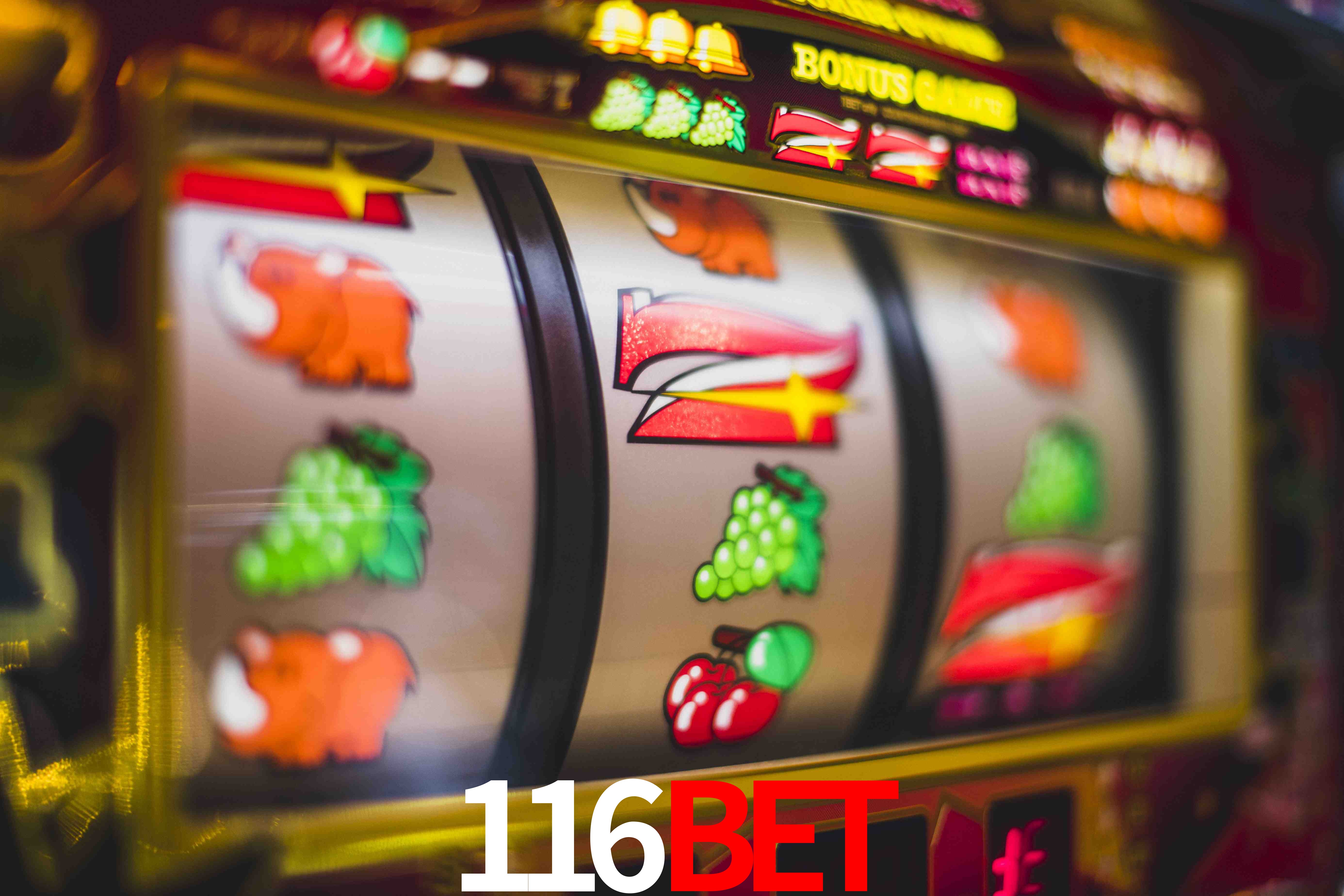 Football Betting 116bet